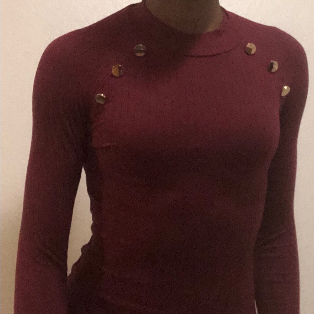 Wine Ribbed Turtle Neck